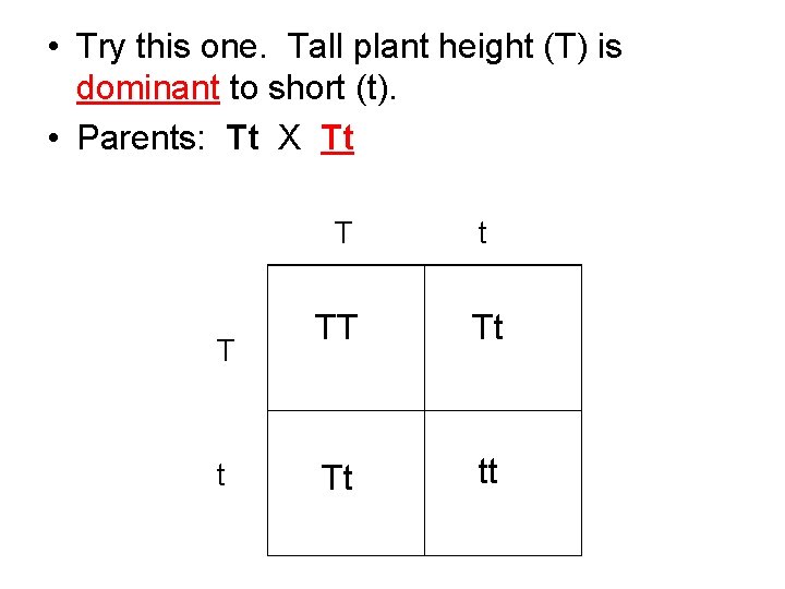  • Try this one. Tall plant height (T) is dominant to short (t).