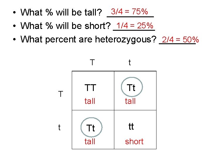 3/4 = 75% • What % will be tall? _____ 1/4 = 25% •