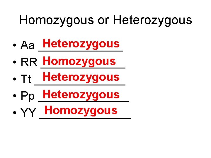 Homozygous or Heterozygous • • • Heterozygous Aa _______ Homozygous RR _______ Heterozygous Tt