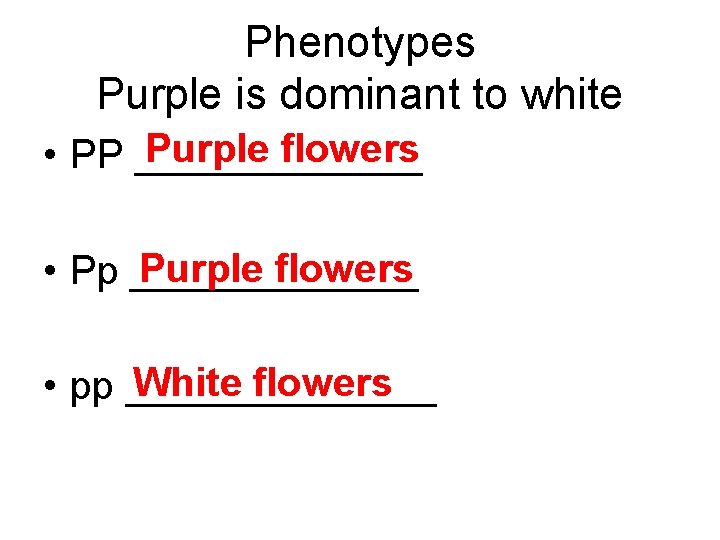 Phenotypes Purple is dominant to white Purple flowers • PP _______ Purple flowers •