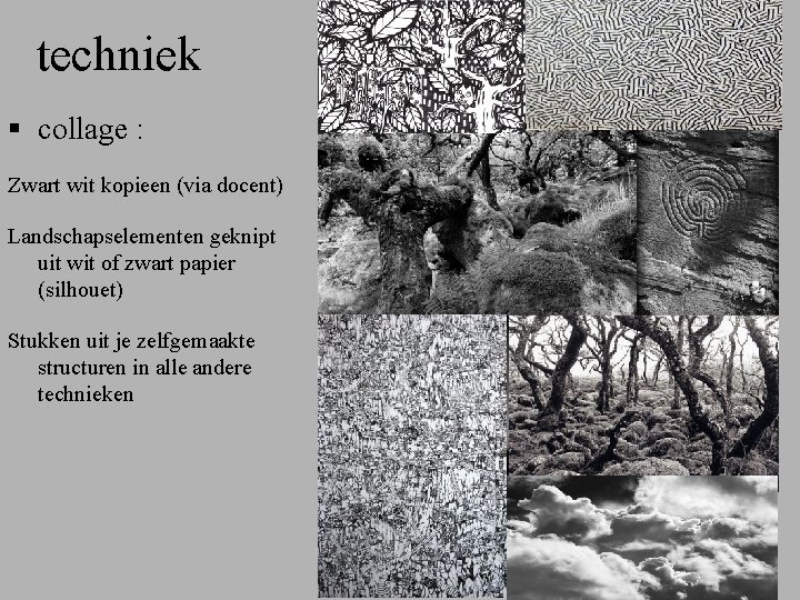 techniek § collage : Zwart wit kopieen (via docent) Landschapselementen geknipt uit wit of
