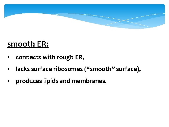 smooth ER: • connects with rough ER, • lacks surface ribosomes (“smooth” surface), •