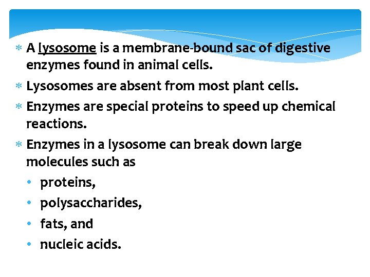  A lysosome is a membrane-bound sac of digestive enzymes found in animal cells.
