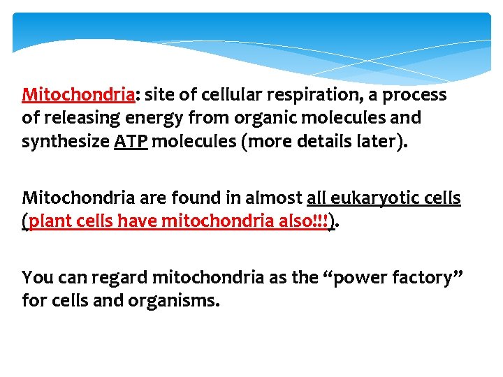 Mitochondria: site of cellular respiration, a process of releasing energy from organic molecules and