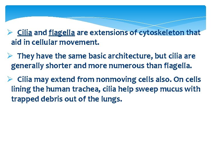 Ø Cilia and flagella are extensions of cytoskeleton that aid in cellular movement. Ø