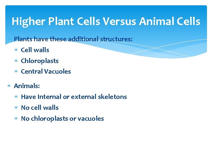 Higher Plant Cells Versus Animal Cells Plants have these additional structures: Cell walls Chloroplasts