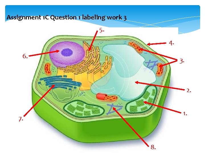 Assignment 1 C Question 1 labeling work 3 5. 4. 6. 3. 2. 1.