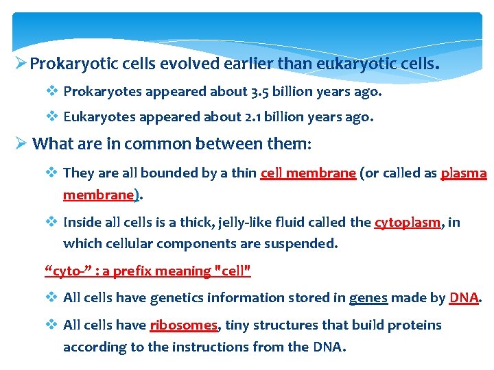Ø Prokaryotic cells evolved earlier than eukaryotic cells. v Prokaryotes appeared about 3. 5