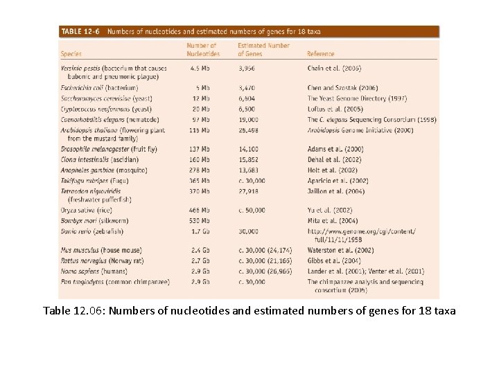 Table 12. 06: Numbers of nucleotides and estimated numbers of genes for 18 taxa