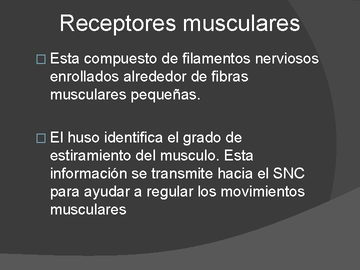 Receptores musculares � Esta compuesto de filamentos nerviosos enrollados alrededor de fibras musculares pequeñas.