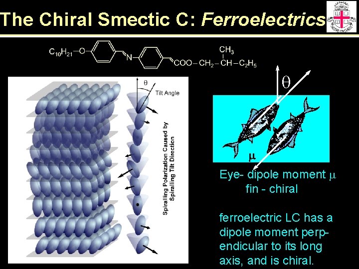 The Chiral Smectic C: Ferroelectrics q m Eye- dipole moment m fin - chiral