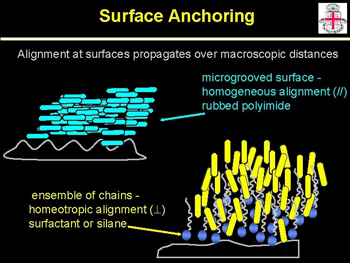 Surface Anchoring Alignment at surfaces propagates over macroscopic distances microgrooved surface homogeneous alignment (//)