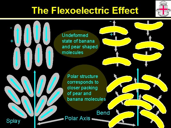 The Flexoelectric Effect + Undeformed state of banana and pear shaped molecules Polar structure