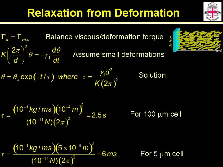 Relaxation from Deformation Balance viscous/deformation torque Assume small deformations Solution For 100 mm cell