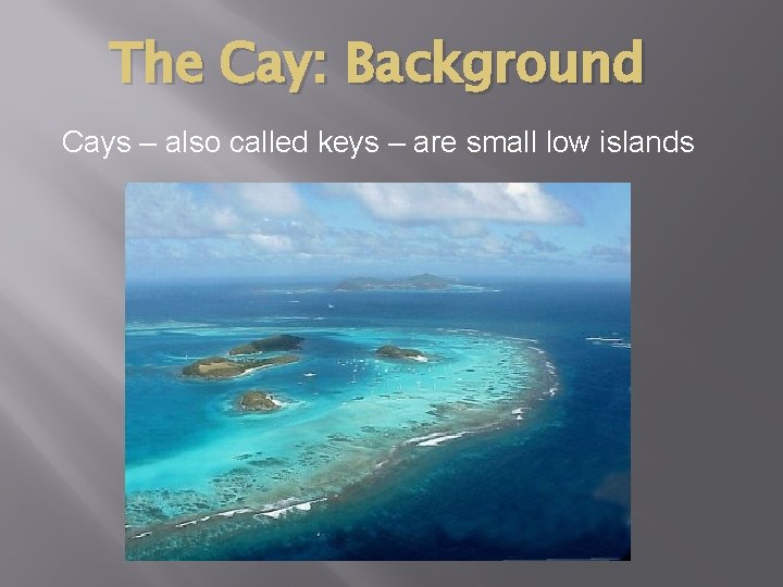 The Cay: Background Cays – also called keys – are small low islands 