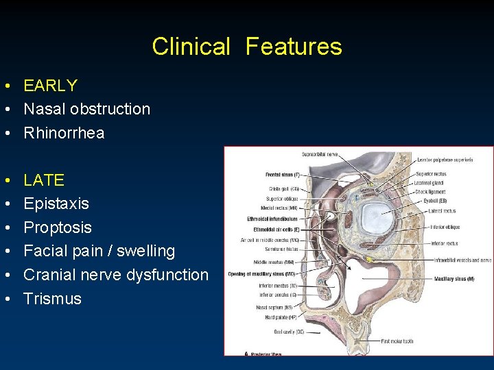 Clinical Features • EARLY • Nasal obstruction • Rhinorrhea • • • LATE Epistaxis