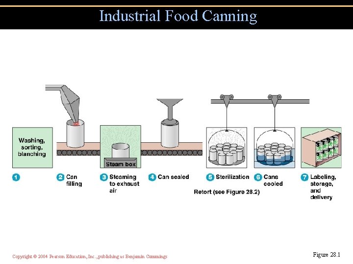 Industrial Food Canning Copyright © 2004 Pearson Education, Inc. , publishing as Benjamin Cummings