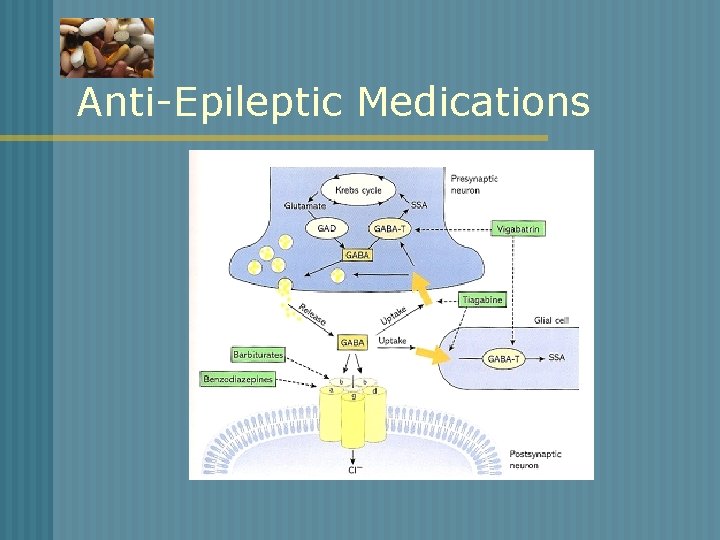 Anti-Epileptic Medications 