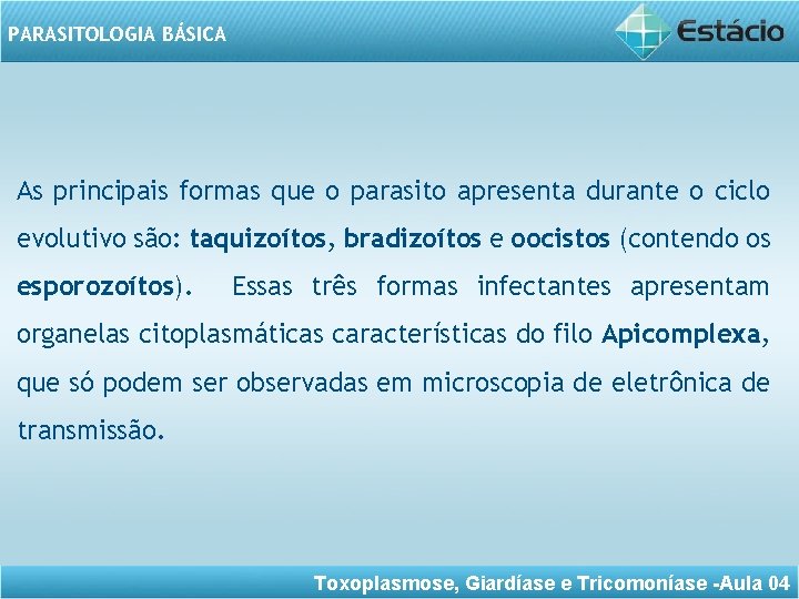 PARASITOLOGIA BÁSICA As principais formas que o parasito apresenta durante o ciclo evolutivo são: