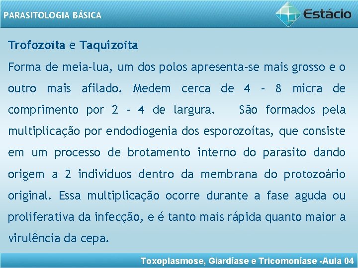 PARASITOLOGIA BÁSICA Trofozoíta e Taquizoíta Forma de meia-lua, um dos polos apresenta-se mais grosso