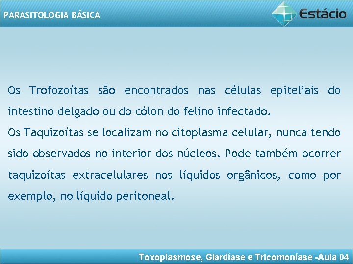 PARASITOLOGIA BÁSICA Os Trofozoítas são encontrados nas células epiteliais do intestino delgado ou do