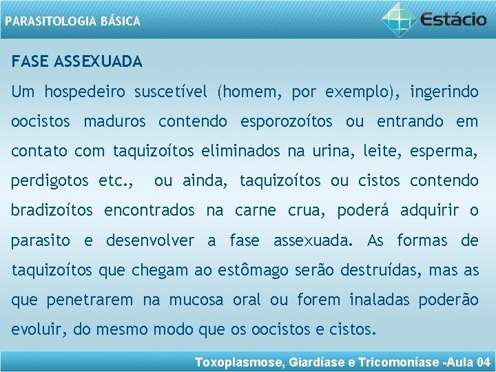 PARASITOLOGIA BÁSICA FASE ASSEXUADA Um hospedeiro suscetível (homem, por exemplo), ingerindo oocistos maduros contendo