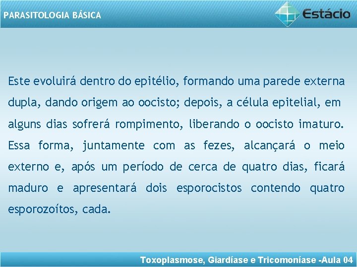 PARASITOLOGIA BÁSICA Este evoluirá dentro do epitélio, formando uma parede externa dupla, dando origem