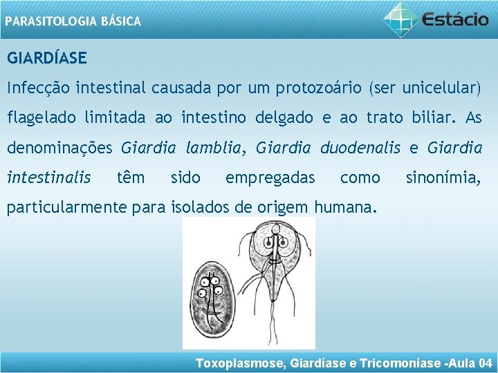 PARASITOLOGIA BÁSICA GIARDÍASE Infecção intestinal causada por um protozoário (ser unicelular) flagelado limitada ao