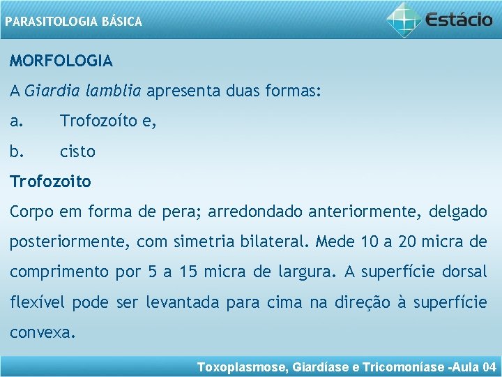 PARASITOLOGIA BÁSICA MORFOLOGIA A Giardia lamblia apresenta duas formas: a. Trofozoíto e, b. cisto