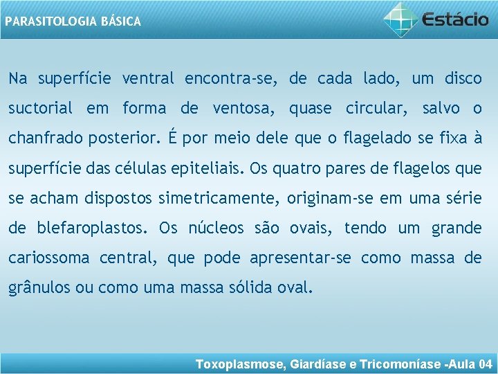 PARASITOLOGIA BÁSICA Na superfície ventral encontra-se, de cada lado, um disco suctorial em forma