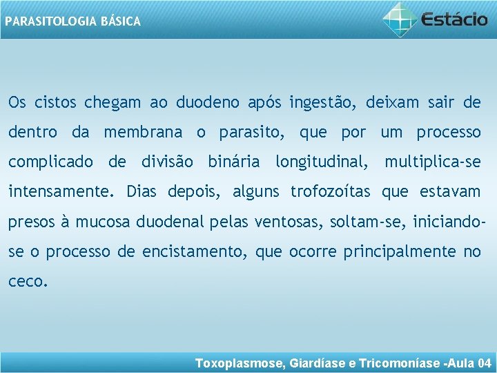 PARASITOLOGIA BÁSICA Os cistos chegam ao duodeno após ingestão, deixam sair de dentro da