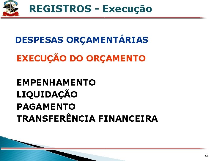 REGISTROS - Execução X DESPESAS ORÇAMENTÁRIAS EXECUÇÃO DO ORÇAMENTO EMPENHAMENTO LIQUIDAÇÃO PAGAMENTO TRANSFERÊNCIA FINANCEIRA