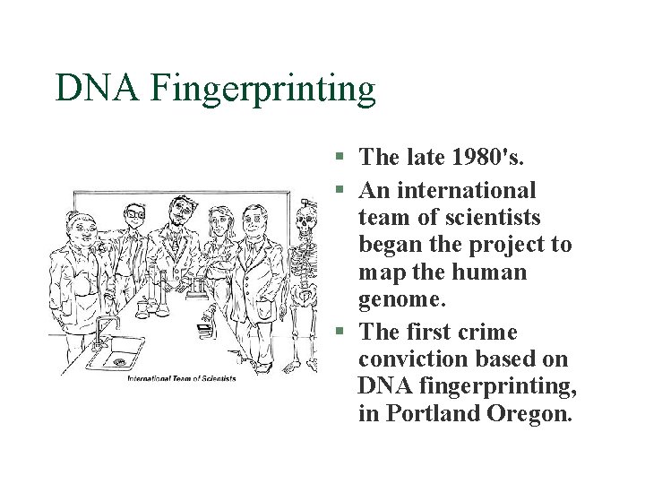 DNA Fingerprinting § The late 1980's. § An international team of scientists began the