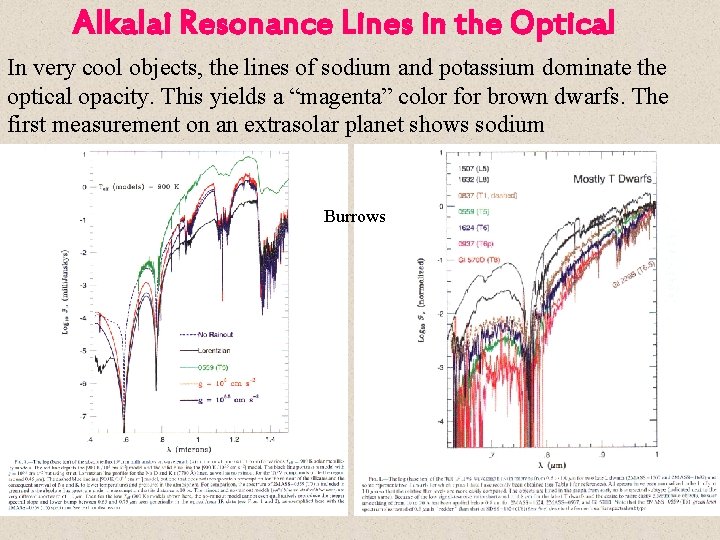 Alkalai Resonance Lines in the Optical In very cool objects, the lines of sodium