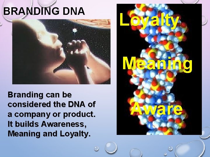 BRANDING DNA Loyalty Meaning Branding can be considered the DNA of a company or