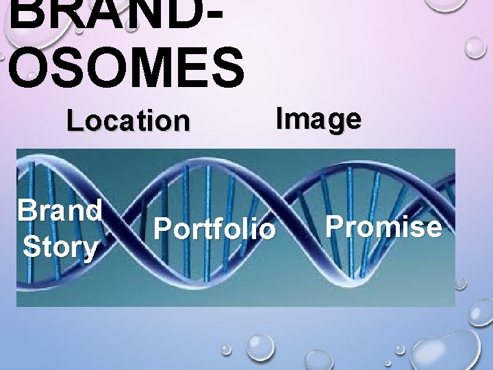 BRANDOSOMES Location Brand Story Image Portfolio Promise 