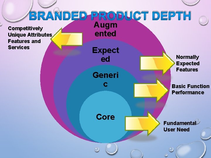 BRANDED PRODUCT DEPTH Competitively Unique Attributes Features and Services Augm ented Expect ed Generi