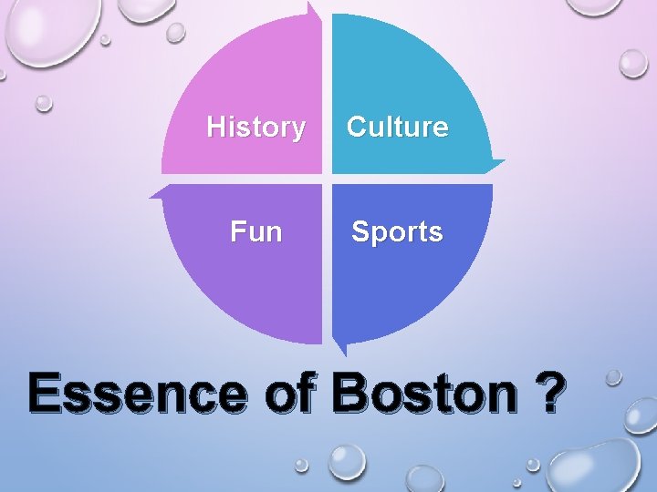 History Culture Fun Sports Essence of Boston ? 