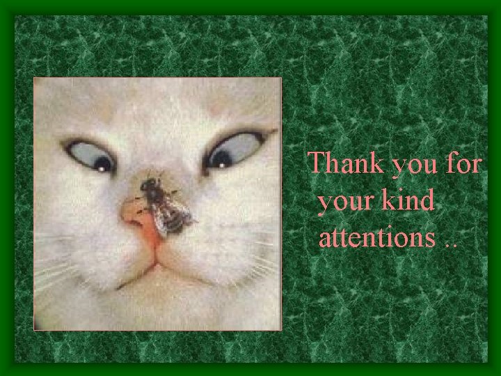  Thank you for your kind attentions. . 