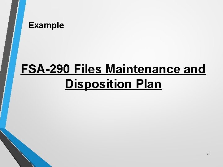 Example FSA-290 Files Maintenance and Disposition Plan 41 