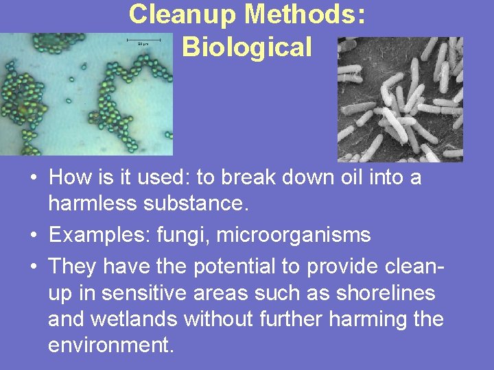 Cleanup Methods: Biological • How is it used: to break down oil into a