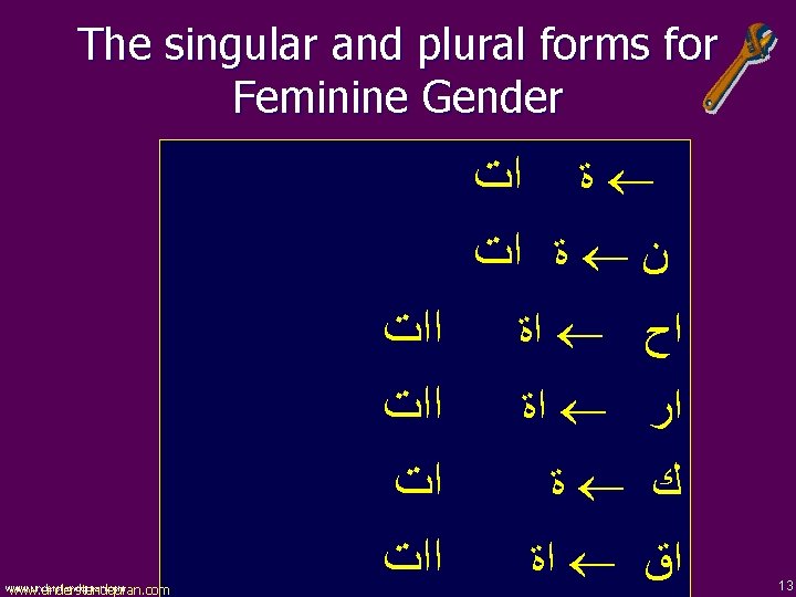 The singular and plural forms for Feminine Gender ﺓ ﺍﺕ ﻥ www. understandquran. com