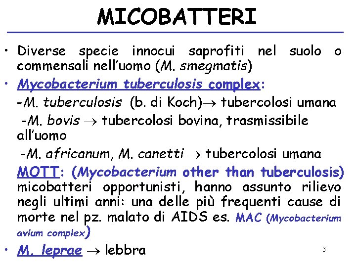 MICOBATTERI • Diverse specie innocui saprofiti nel suolo o commensali nell’uomo (M. smegmatis) •