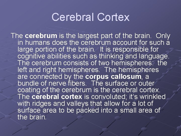 Cerebral Cortex The cerebrum is the largest part of the brain. Only in humans