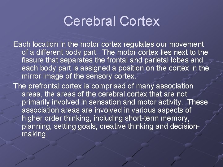 Cerebral Cortex Each location in the motor cortex regulates our movement of a different
