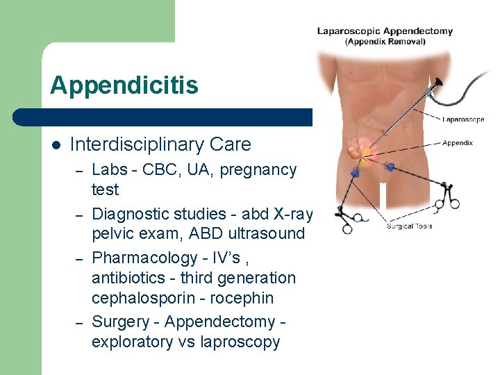 Appendicitis l Interdisciplinary Care – – Labs - CBC, UA, pregnancy test Diagnostic studies