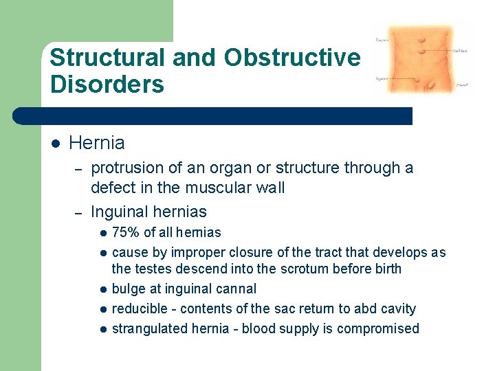 Structural and Obstructive Disorders l Hernia – – protrusion of an organ or structure