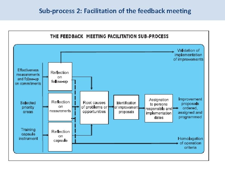 Sub-process 2: Facilitation of the feedback meeting 