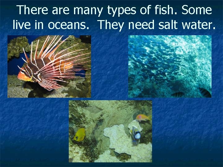 There are many types of fish. Some live in oceans. They need salt water.