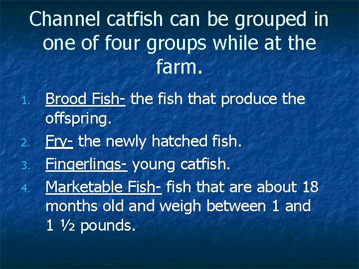 Channel catfish can be grouped in one of four groups while at the farm.